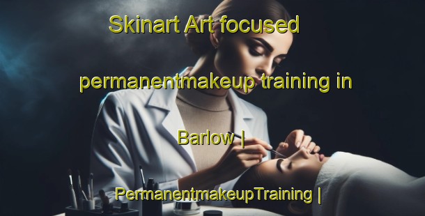 Skinart Art-focused permanentmakeup training in Barlow | PermanentmakeupTraining | PermanentmakeupClasses | SkinartTraining-United Kingdom